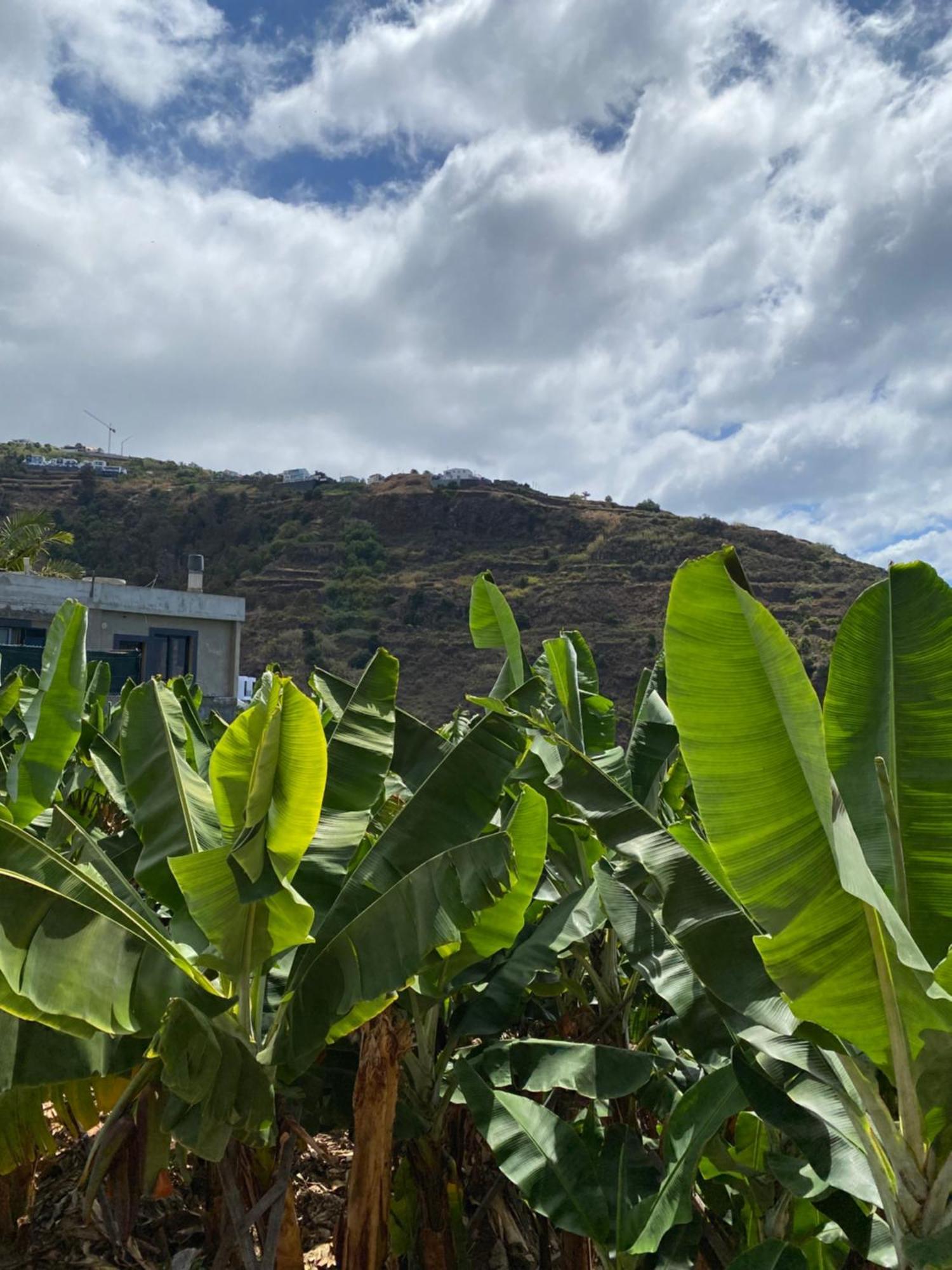 Pana House Διαμέρισμα Calheta  Εξωτερικό φωτογραφία
